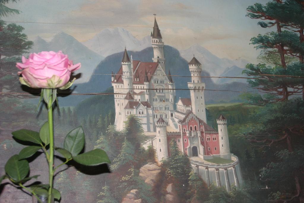 Haus Magnolia Apartment Schwangau Bagian luar foto